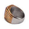 Vividus Antique Stone Signet Ring