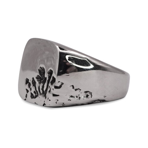 SIG-046-Carved-Signet-Ring-1.jpg The Cynosure Corner Signet Ring