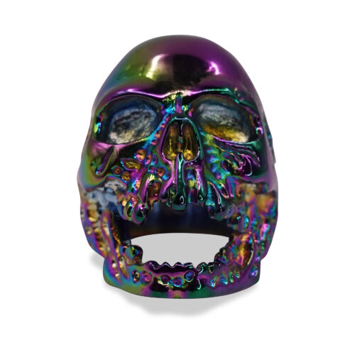 Skullstice Rainbow Polished Signet Ring with Large Skull Head