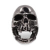 Skullstice Rainbow Polished Signet Ring with Large Skull Head